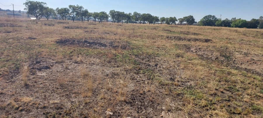 0 Bedroom Property for Sale in Metsimaholo Free State